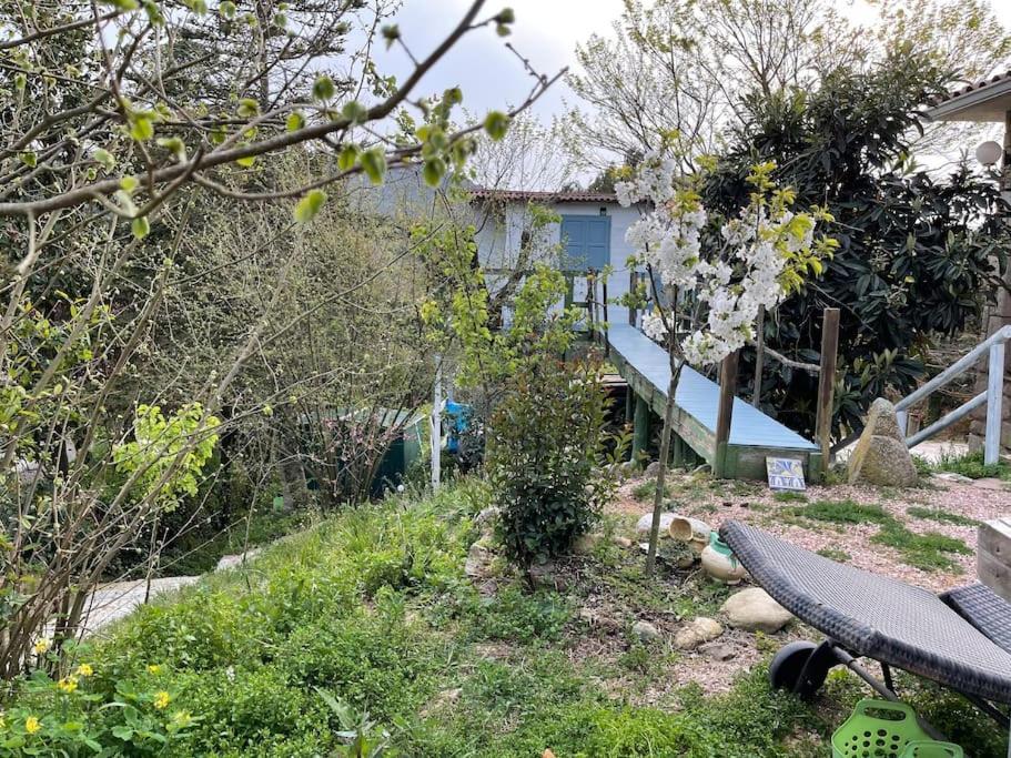 Raconet Azul - Circuito Cataluna Vallromanes Kültér fotó